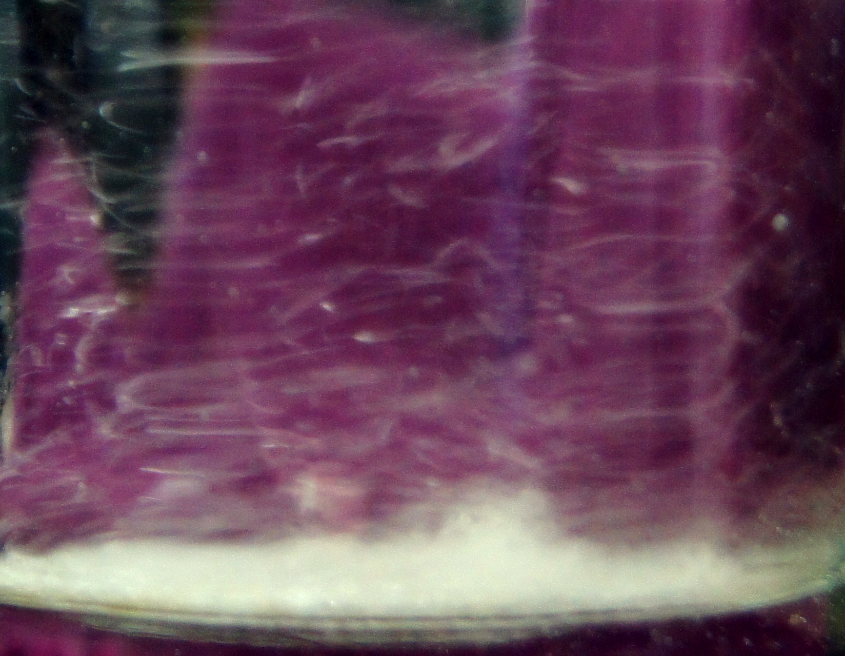 The Drug-Drug Salt: A New Way to Treat Bacterial Infections